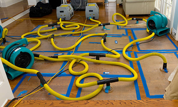 Professional Water Extraction technician working in Irving, TX